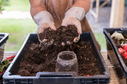 7 Ways Red Wigglers Can Transform Your Garden