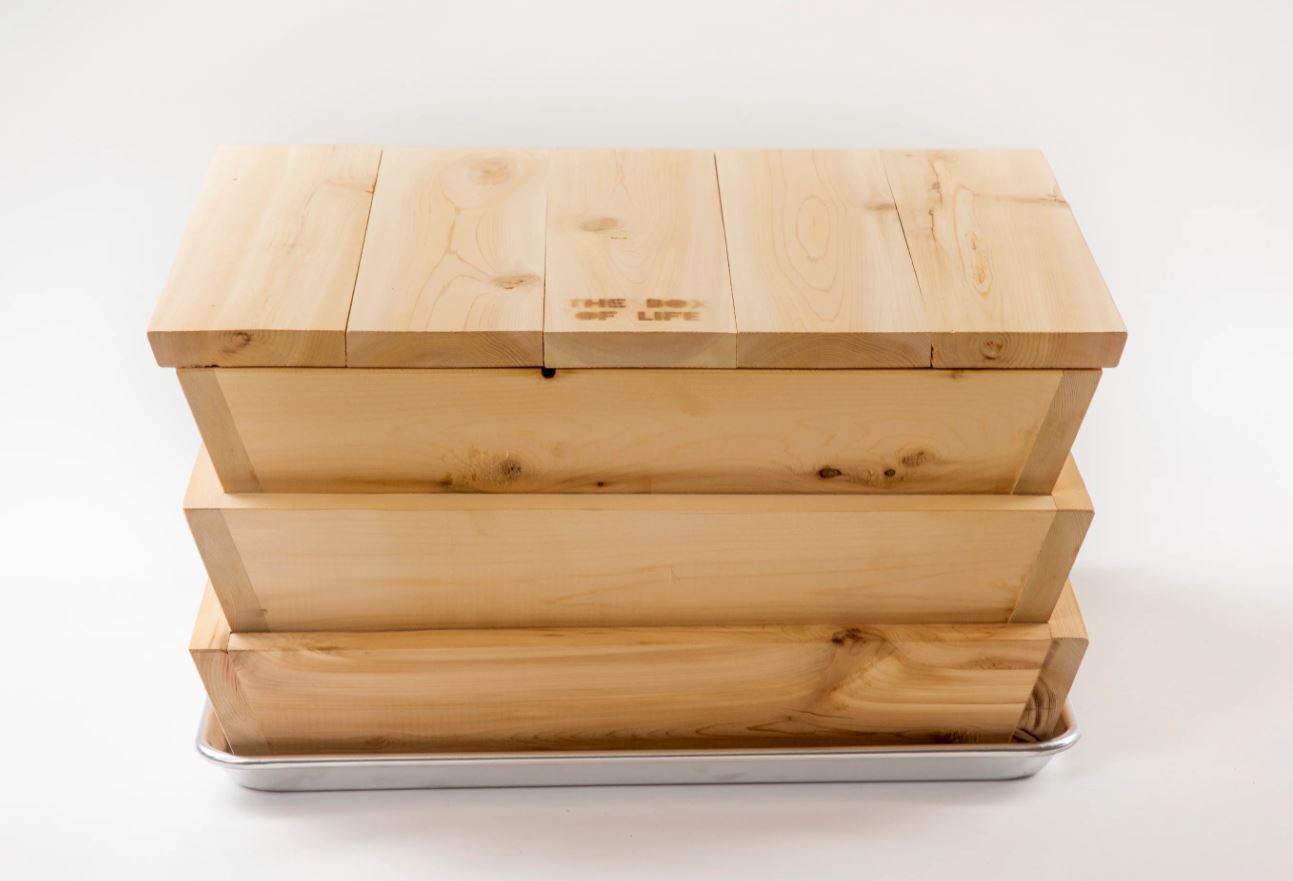 The box of life Worm Studio