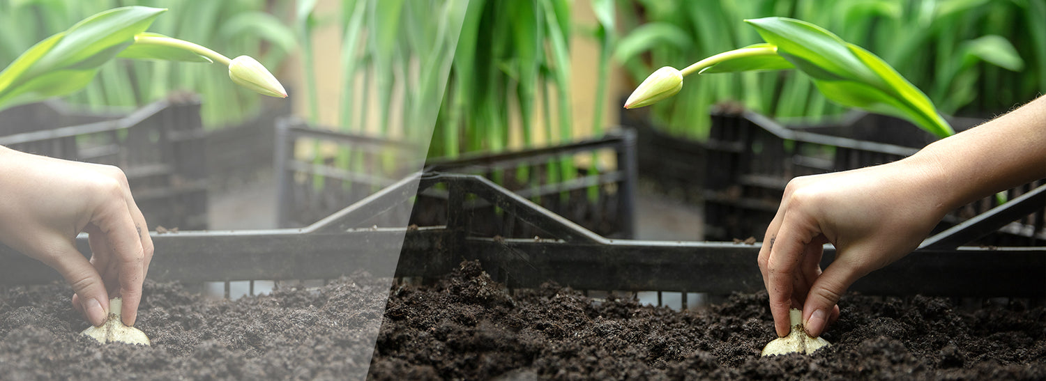 Déchets ménagers transformés en compost en jardinage