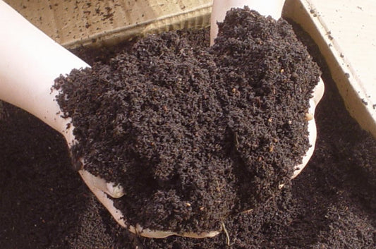 Vermicompost (Worm castings) 5 Litres (environs 6 lbs)