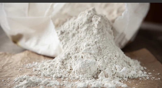 Terre de diatomée 1/2lb de grade alimentaire - Vers Lavenir