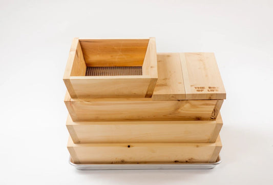 Worm Studio - The box of life - Vers L'Avenir