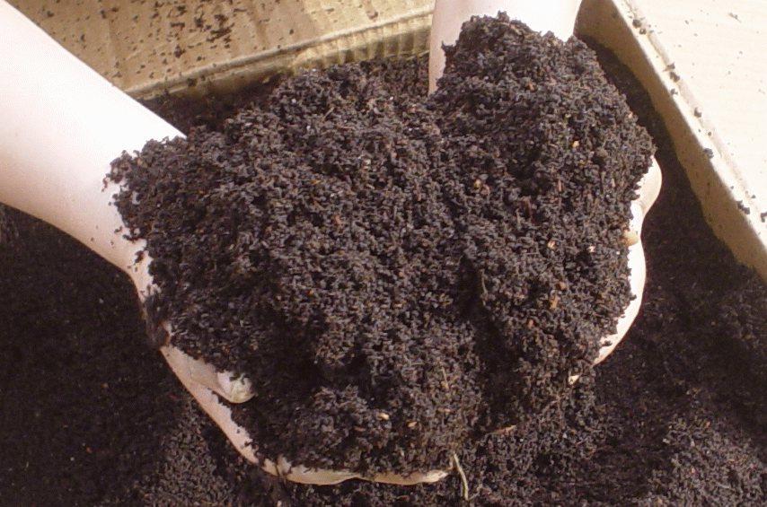 Vermicompost (Worm castings) 20 lbs