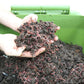 Vermicomposter Hungry Bin CFT (33% worm) --- BACK IN STOCK AUGUST 2022 ---