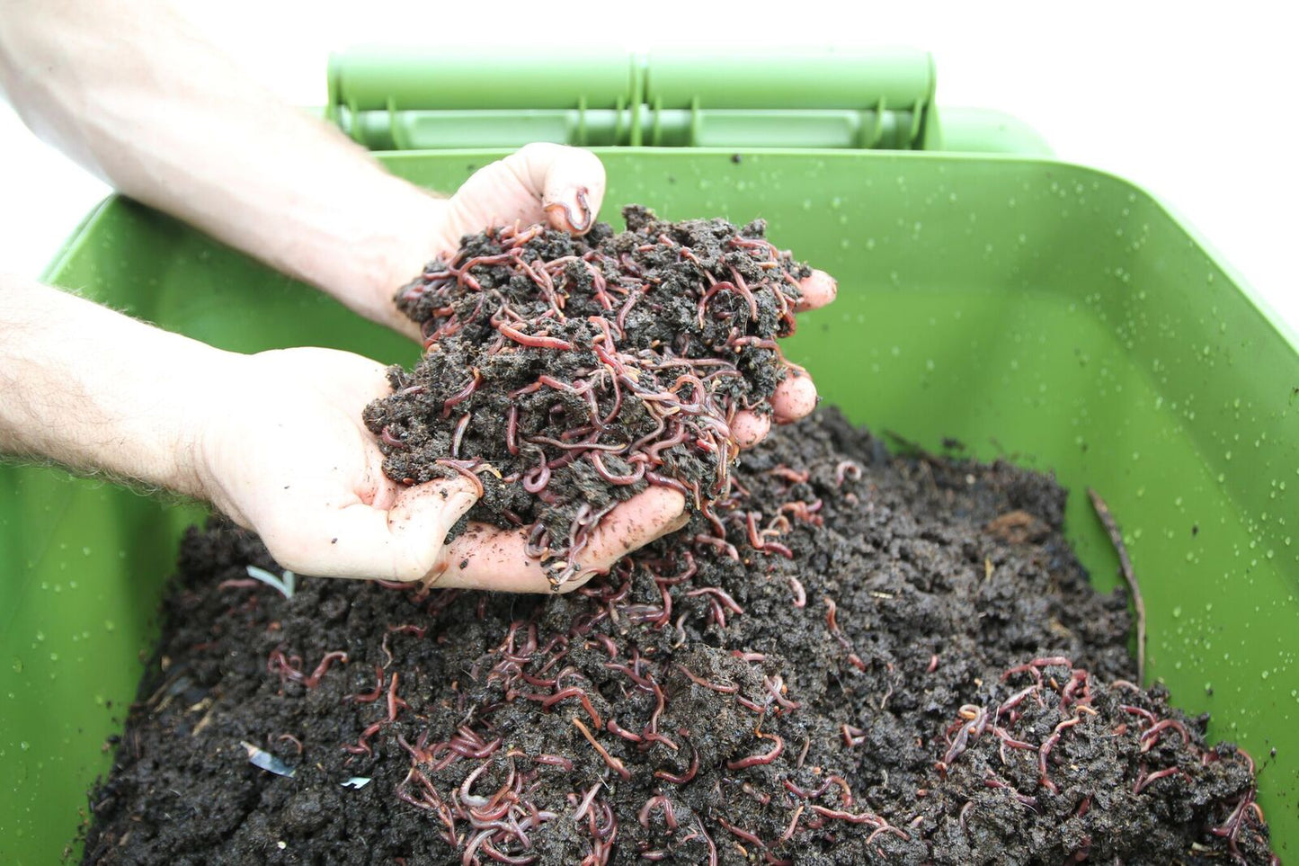 Vermicomposteur Hungry Bin CFT (Vers à 33%)  ---DE RETOUR EN STOCK pour 2023---